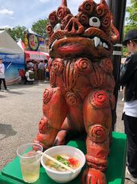 【30代40代限定】大人気の沖縄フェスに行こう😺😺