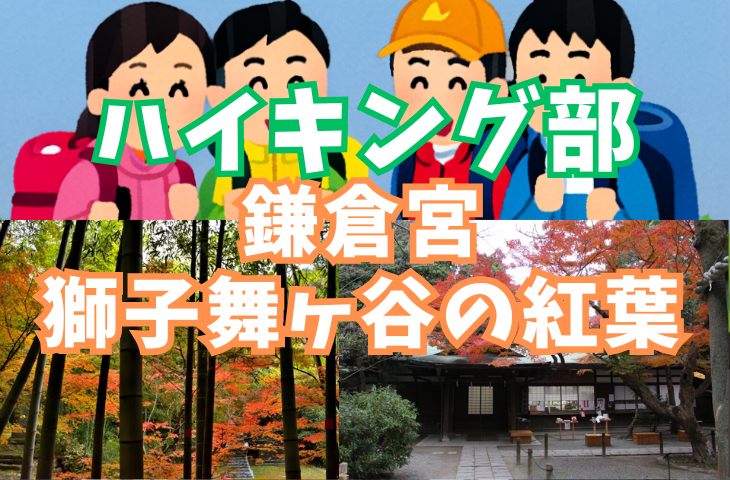 【ハイキング部】【初心者向け】11月29日（土）鎌倉宮！隠れた紅葉の名所「獅子舞ヶ谷」を歩く！ 