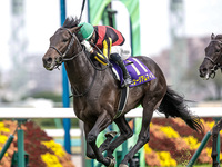 10/13 競馬場に行ってみよう！初心者歓迎！はじめての馬券を買ってみよう‼︎