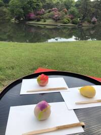 【早割中】庭園&カフェに行こ〜🍒🍒