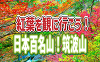 11/16【紅葉を見に行こう！】日本百名山！筑波山（茨城県）＋1