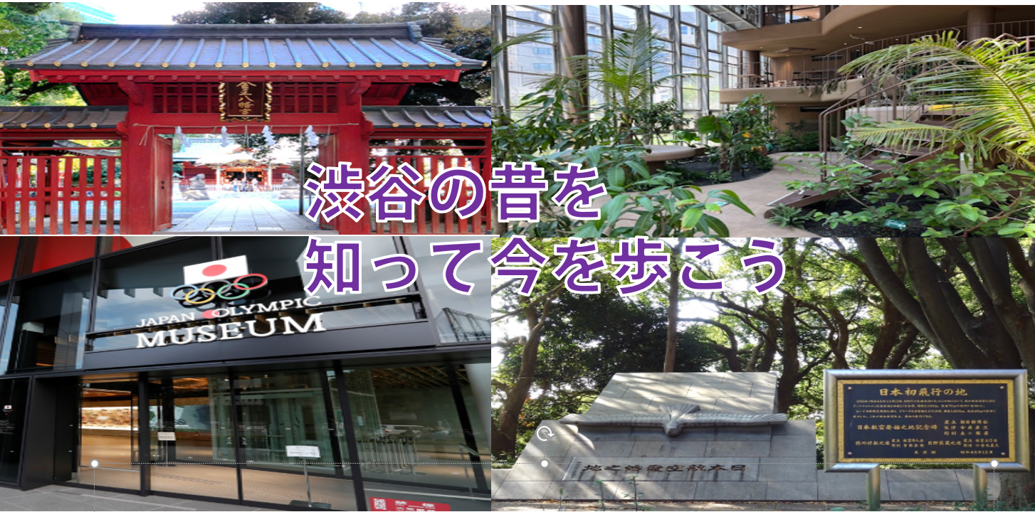【歴史+景観+忘年会】渋谷区の昔を想像して今を歩こう（説明付き）