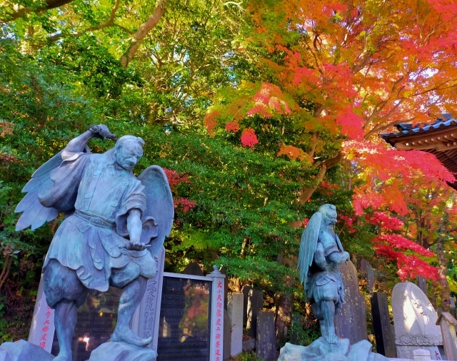 稲荷山コース【高尾山登山】この時期だけの紅葉の高尾を楽しもう🍁✨