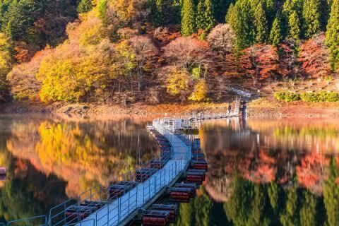 ハイキング初心者歓迎🍁【紅葉の奥多摩湖へ！】
自然と歴史を巡る紅葉ハイキング・ウォーキング🌿✨