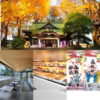 【女性主催】亀有香取神社と境内にあるカフェにいこう！