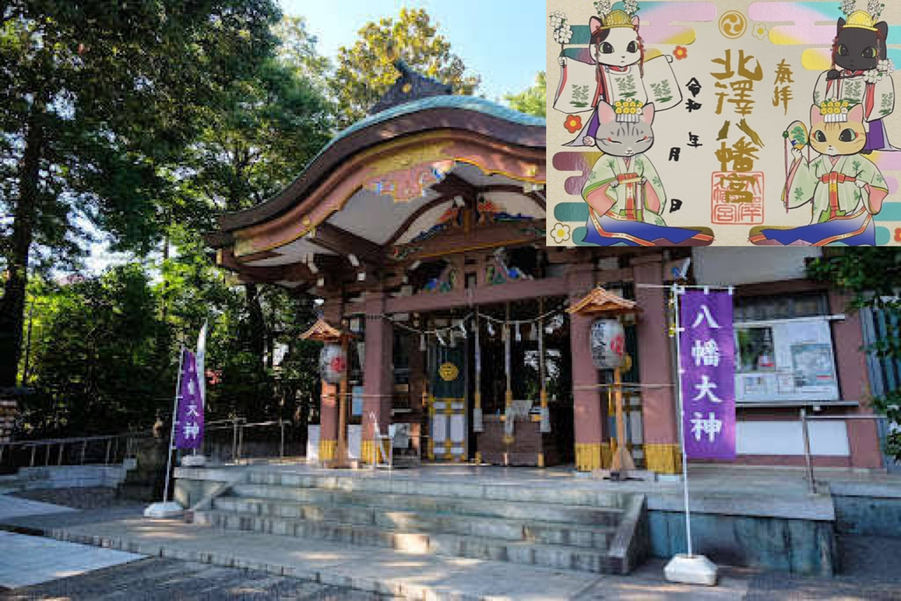 【下北の神社で猫御朱印！】10/5 14時　北澤八幡神社！【下北で食べ歩きも！】