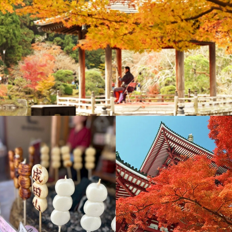 【女性主催】成田山公園紅葉まつり&成田山新勝寺と食べ歩きしよう