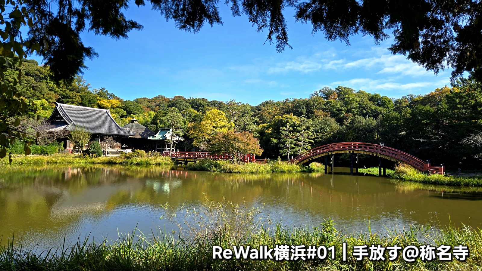 ReWalk 横浜 #01｜手放す @称名寺（朝）心の重荷をそっと下ろし、軽やかな一日へ 🌿