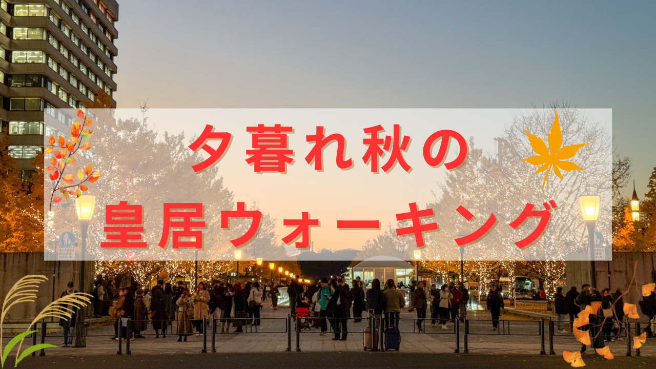【散歩好き20代🍁】夕暮れの秋の皇居ウォーキング👞