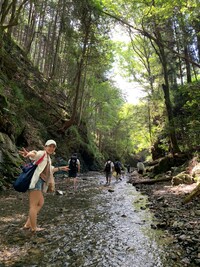 秘境で野宿しようぜ！【ブッシュクラフトキャンプ⛺】