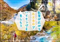 美しい紅葉が広がる西沢渓谷でハイキングを楽しみましょう！