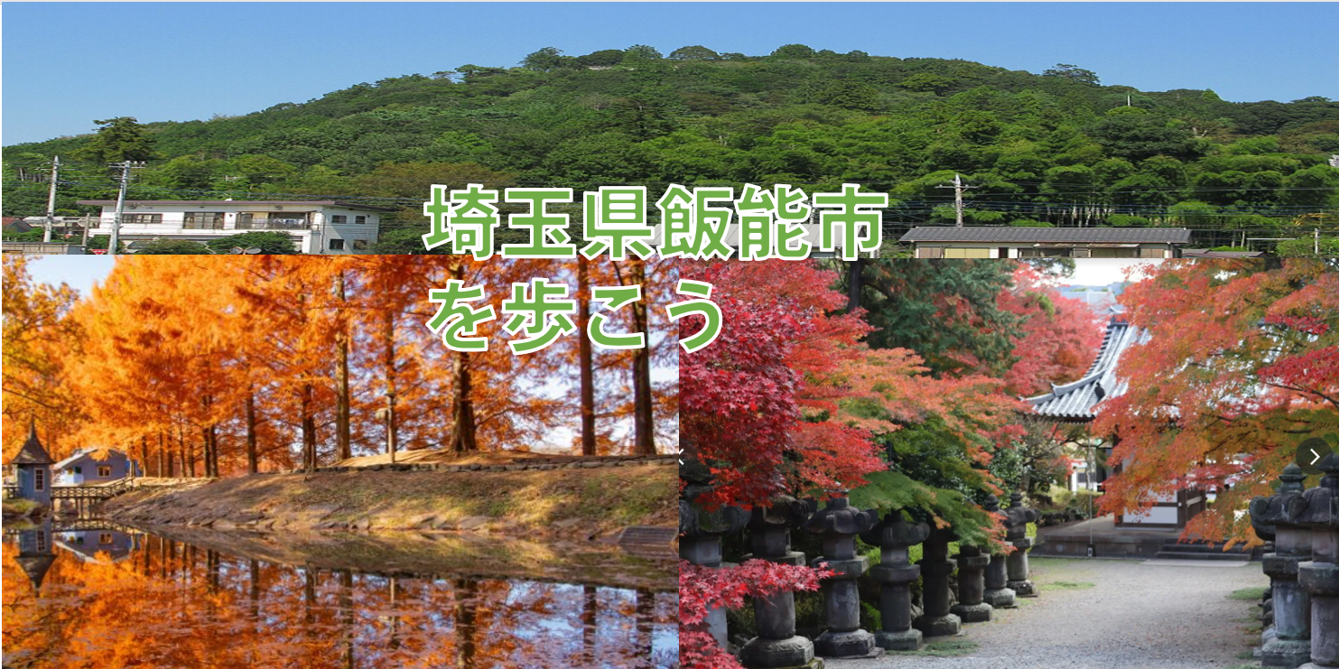 【歴史とムーミンの世界で紅葉体験？】埼玉県飯能を歩こう（説明・解説有り）