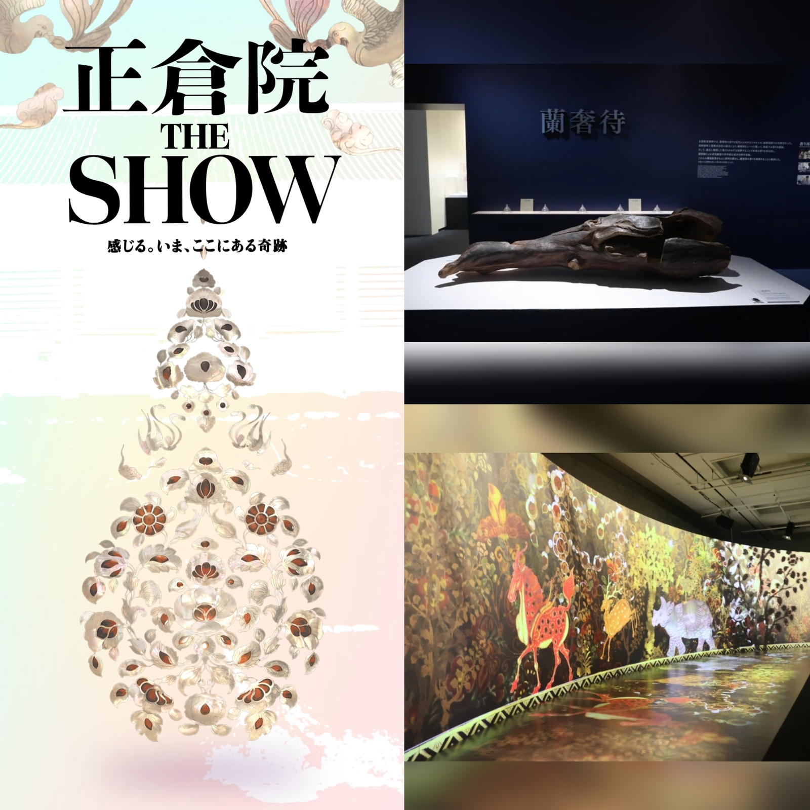 【女性主催】織田信長も魅了された香り蘭奢待がある正倉院THESHOWにいこう！カメラ撮影ok