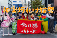 10/12化け猫パレードin神楽坂（猫ハロウィン）パレードに参加しても見学しても