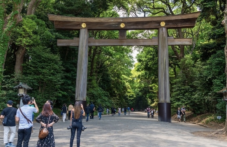 🌲自然or神社好き仲間⛩️朝活さんぽ🏃@明治神宮🍀
