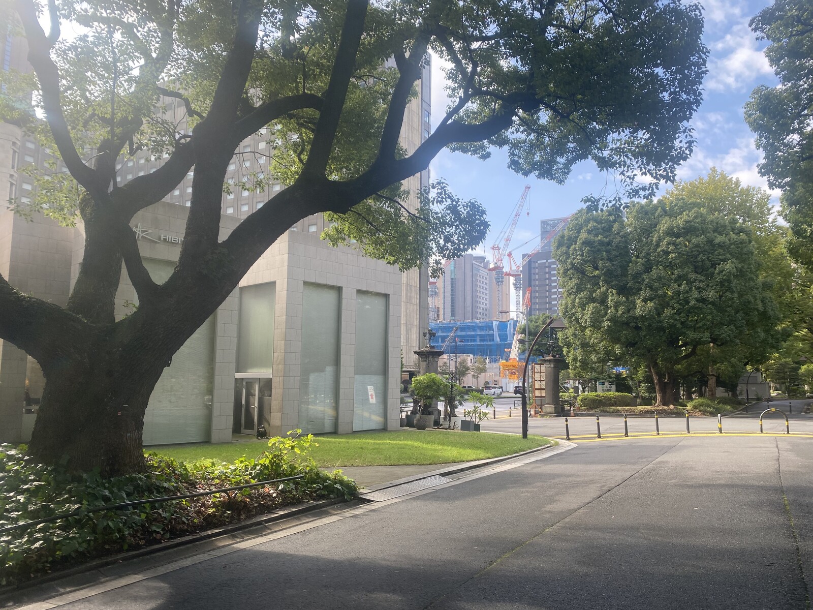 🚶🏻【日比谷公園】朝さんぽ と カフェトーク