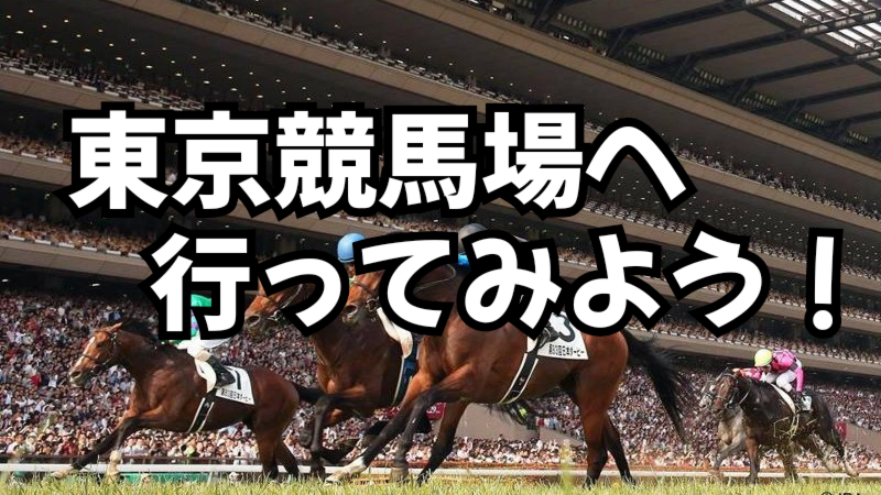 【初心者歓迎】みんなで東京競馬場に行ってみよう！🐎✨【途中退出OK】🙆‍♂️