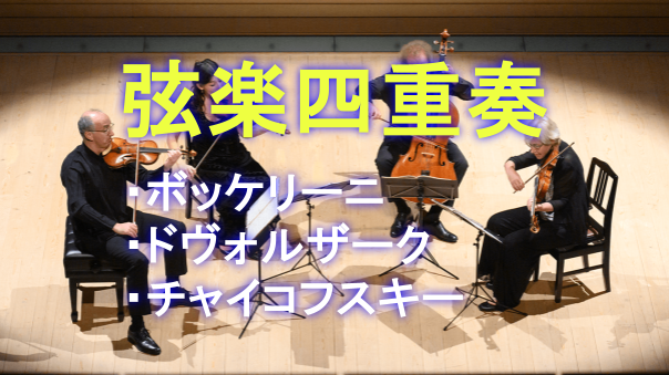 （初めての人歓迎）仕事帰りにクラシック音楽を鑑賞しませんか？