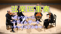 （初めての人歓迎）仕事帰りにクラシック音楽を鑑賞しませんか？