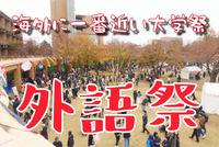 11/24(祝）日本で最もマニアックな食と文化の博覧会「外語祭」をフルに楽しむ