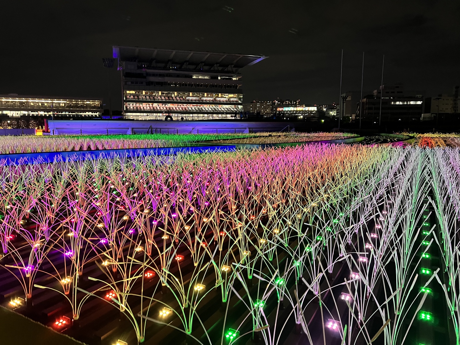 本日開催確定【4名募集】💫東京メガイルミ散策💫@大井競馬場〜イルミネーション巡りの旅〜