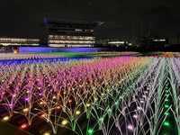 本日開催確定【4名募集】💫東京メガイルミ散策💫@大井競馬場〜イルミネーション巡りの旅〜