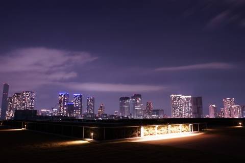 【20代30代限定】豊洲夜景散策しよ〜🌸🌸