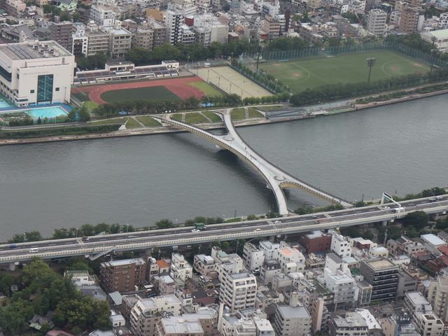 👩女性限定【浅草】桜橋＆すみだリバーウォーク朝の絶景橋めぐり1時間スペシャル