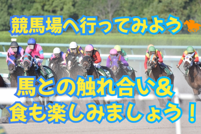 【東京競馬場へ行こう🏇】競馬場の魅力を満喫する初心者向けイベント開催！