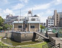 【浅草駅集合】秋のミズマチ＆大横川親水公園 90分お散歩会🌱限定開催で浅草〜錦糸町の魅力再発見！