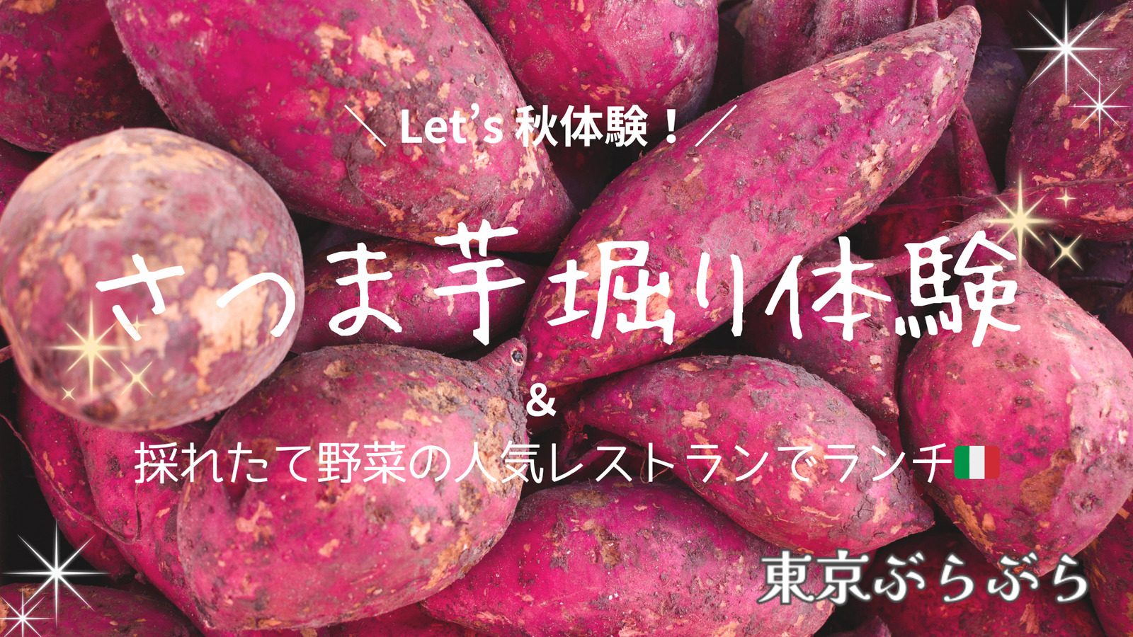＼ Let’s 秋体験！／さつま芋堀り🍠＆採れたて野菜の人気レストランでランチ🇮🇹