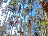 《40代・50代》秋の森でアスレチック＆ランチ@千葉「リソルの森」