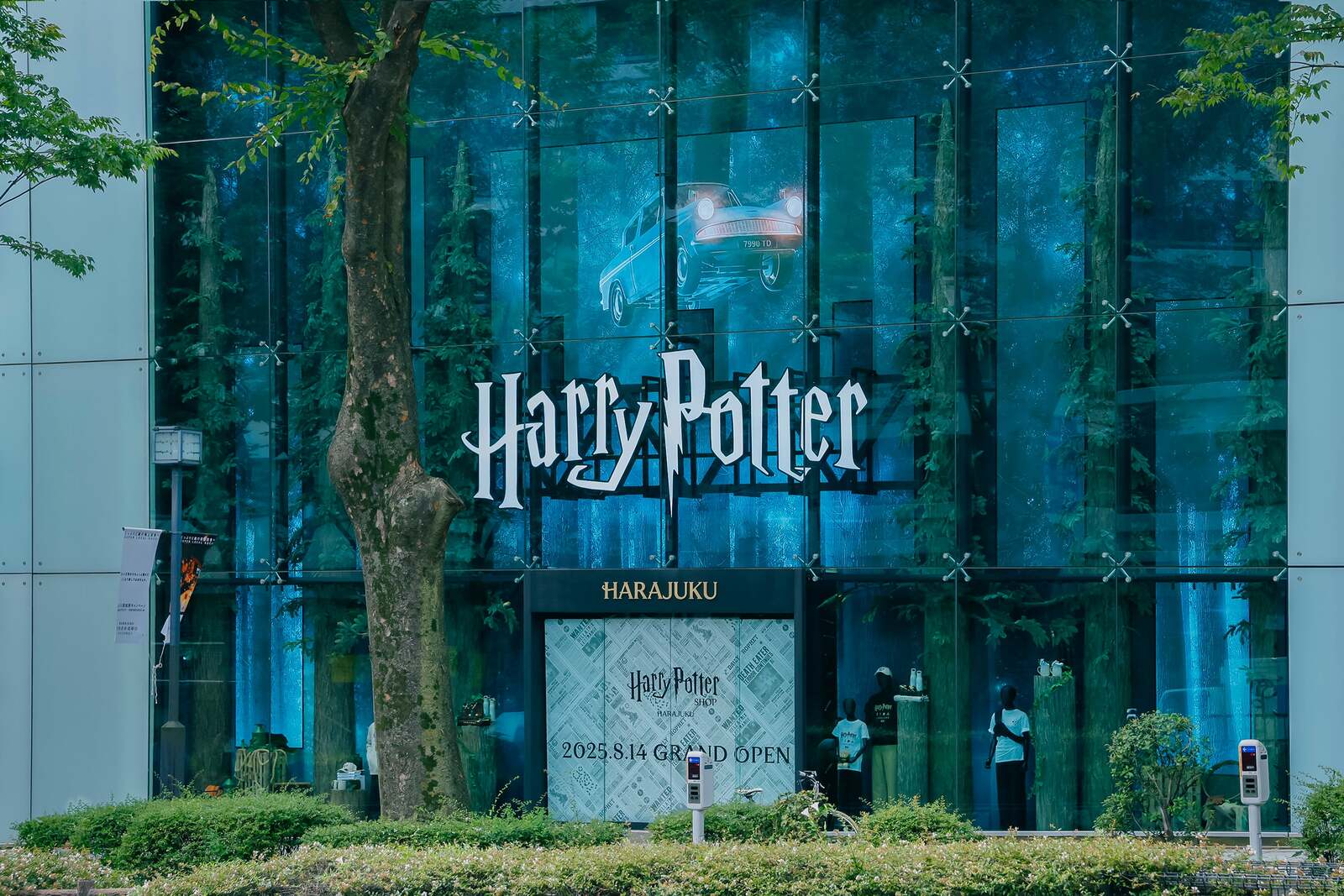 【20〜35歳限定】ハリーポッターショップ原宿店に行こう♩