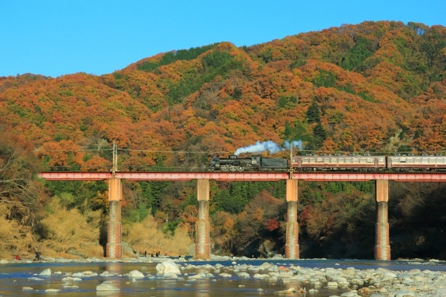 【20代主催】秩父鉄道🚃でおでかけ🎵秋深まる🍁秩父路の旅💼
