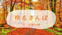 【10/22（水）夜20時・大濠公園】平日限定ゆる散歩🌃20〜30代メイン✨一人参加大歓迎！女性主催🎀