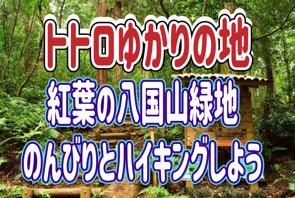 11/24 トトロゆかりの地（八国山緑地・新山手病院、神池）・多摩湖周辺をハイキングしよう！