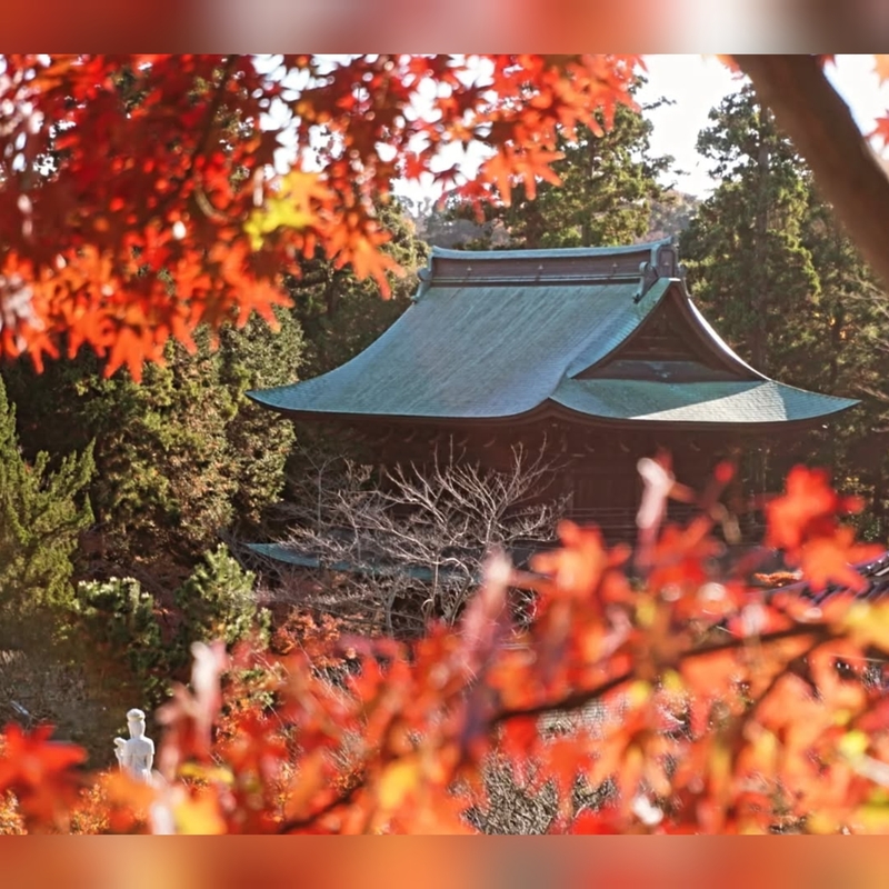 【女性主催】北鎌倉のお寺巡りで紅葉を見に行こう！カメラ好きカフェ喫茶好き必見です！