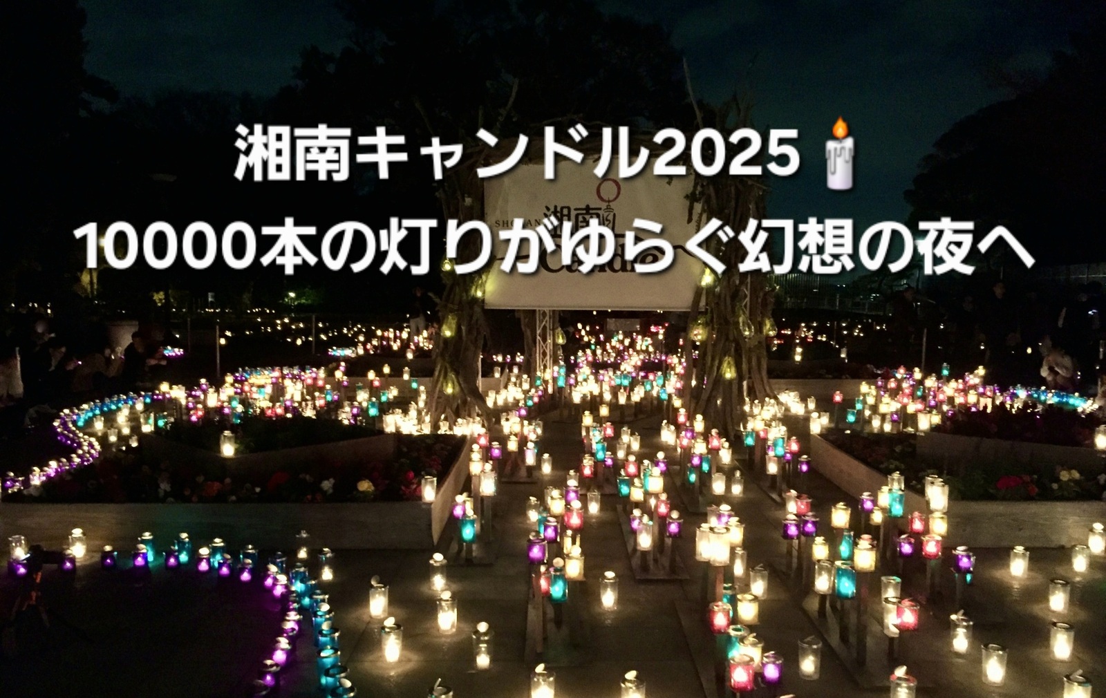 湘南キャンドル2025｜10,000本の灯りがゆらぐ幻想の夜へ🕯