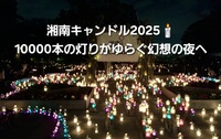 湘南キャンドル2025｜10,000本の灯りがゆらぐ幻想の夜へ🕯