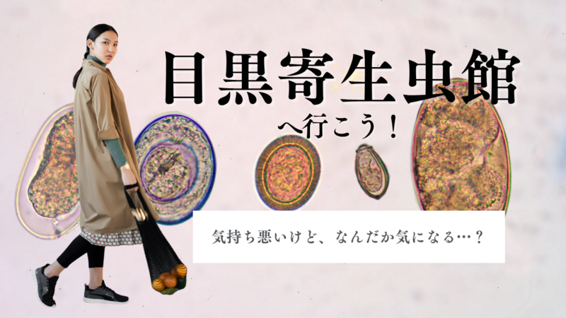 目黒寄生虫館へ行こう🦠“寄生虫だけ”を専門に扱う博物館✨休日朝サクッと活動/30代メイン