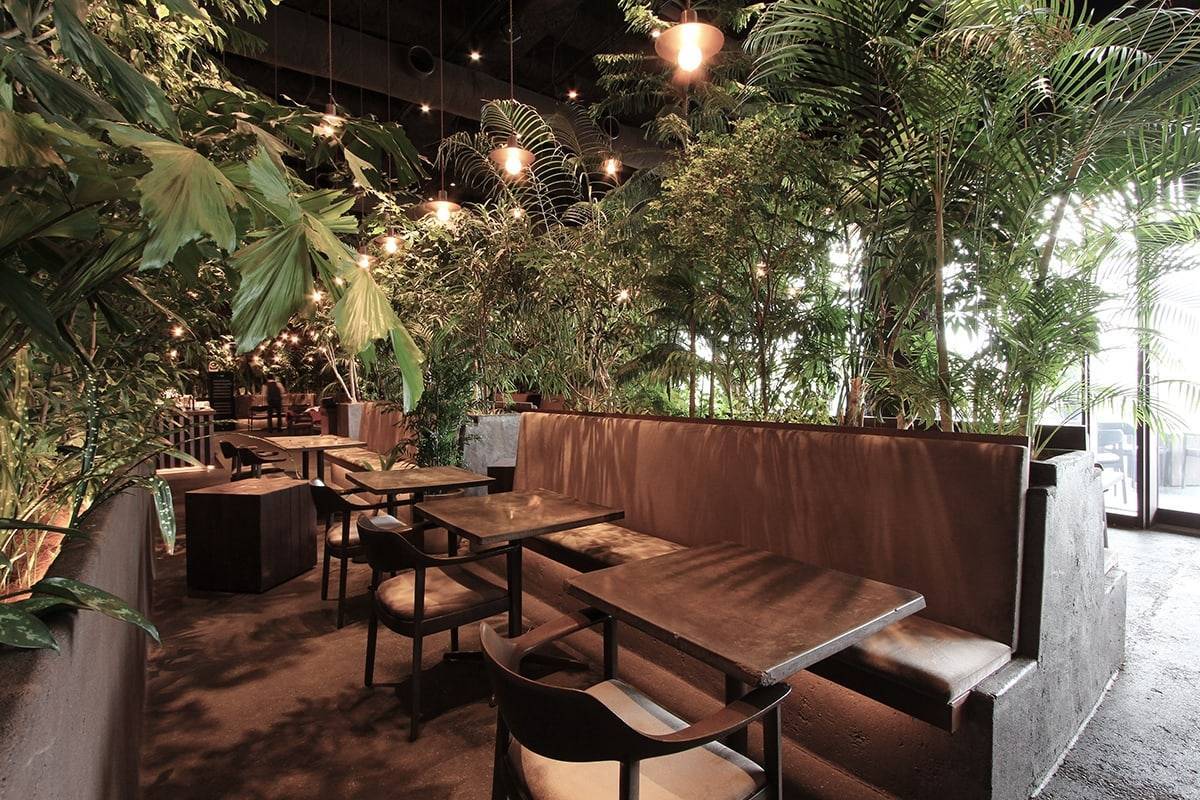 【20代30代限定】表参道の自然派カフェに行こう！おすすめはカヌレです🌹🌹