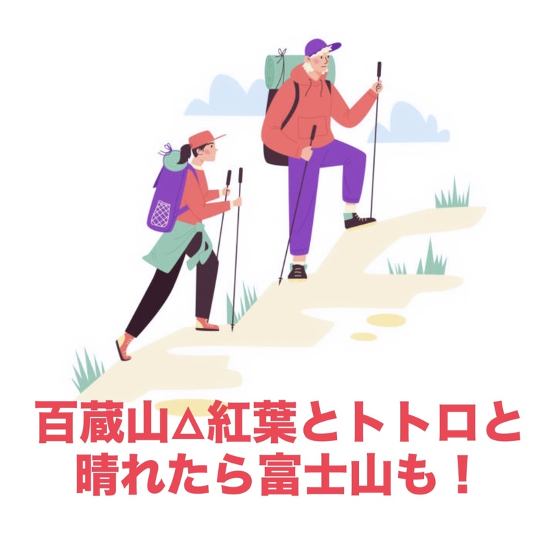 【11/22限定】百蔵山ハイキング🍁紅葉絶景とトトロ♪秋イベント in 山梨