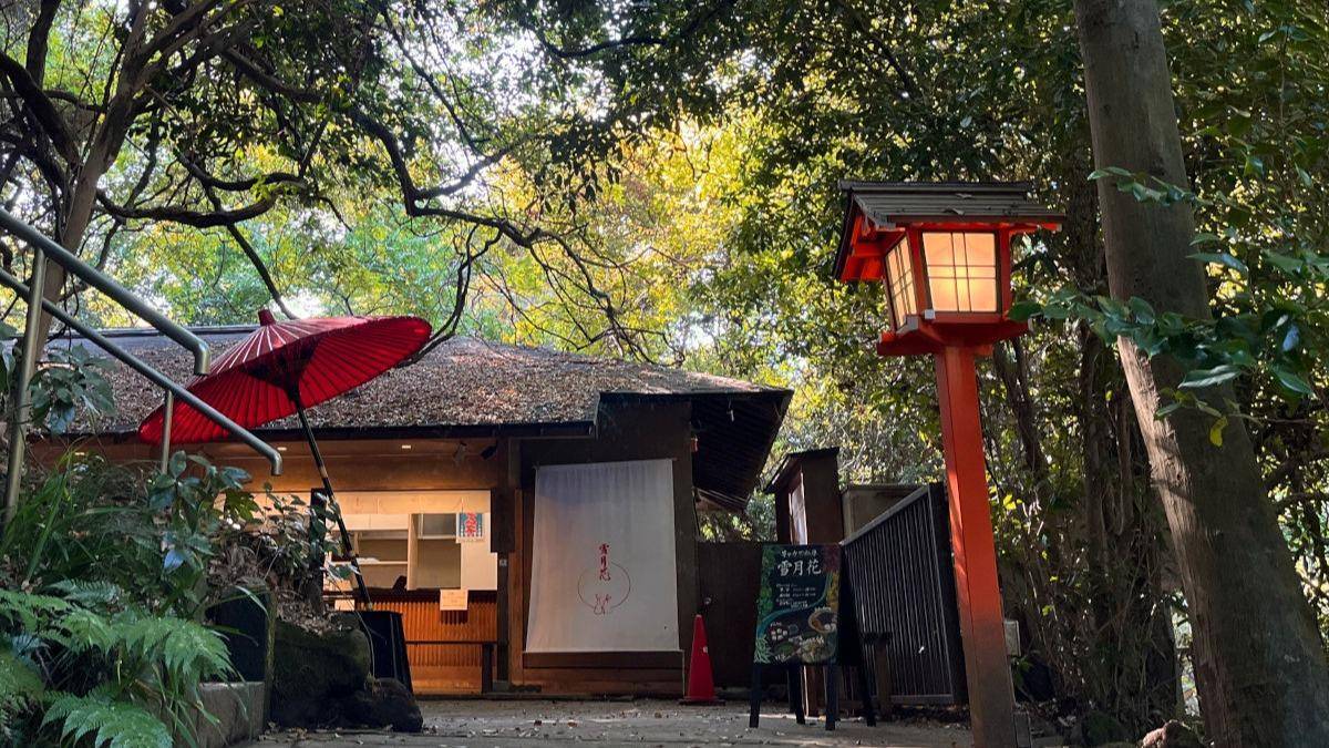 【早割中】自然に囲まれた風情のある茶屋に行こう！おすすめはあんみつとかき氷です🌺🌺