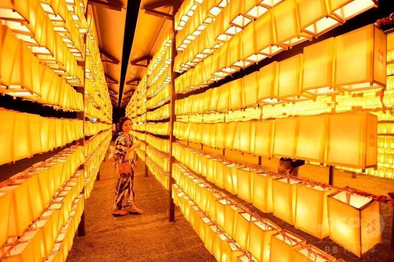 【20代30代限定】みたままつりに行こう🍋🍋