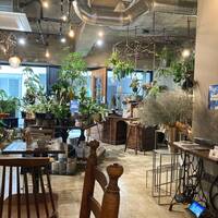 【早割中】緑に囲まれた癒やしのカフェに行こう！おすすめはスコーンです🌸🌸