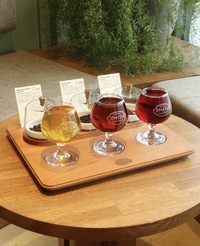 【渋谷】【女性主催】【途中参加OK🙆‍♀️】まだ知られてない！？穴場の紅茶・お茶の専門店に行こう🥞🫖𓂃 𓈒𓏸