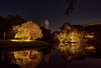 【男女共催】夜間特別開園～秋の夜長の小石川後楽園2025～に行ってみよう【解説付き】