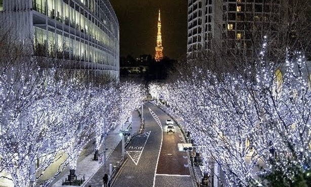 🌟六本木・イルミネーション散歩とご飯会🌟30代後半〜50代前半