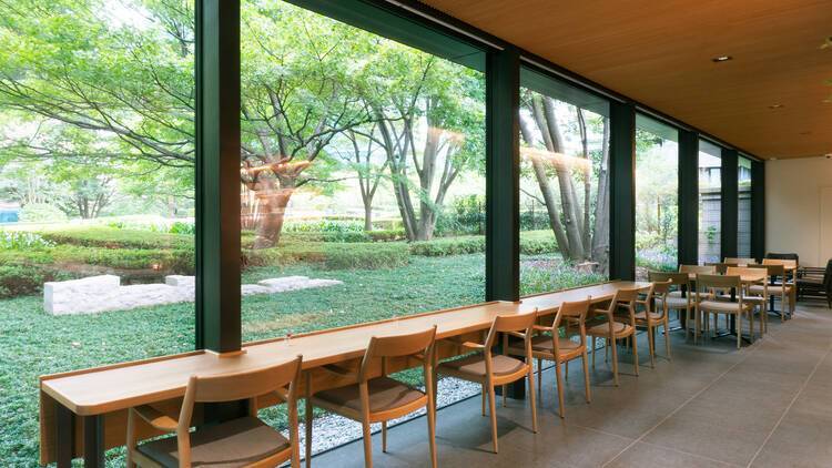 【早割中】緑豊かなカフェに行こう！おすすめはチーズケーキ😽😽