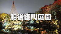 【入園料込】とても美しい、肥後細川庭園の紅葉ライトアップを見に行こう！